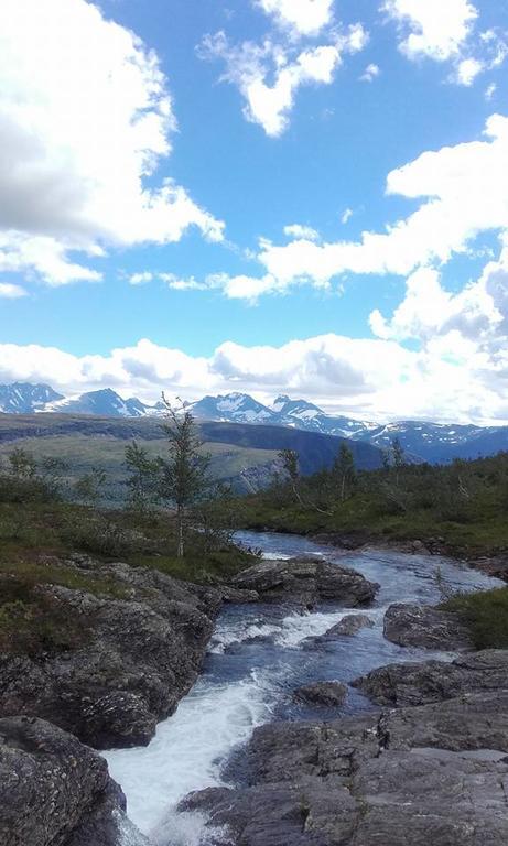 Vassbakken Kro Og Camping Skjolden Extérieur photo